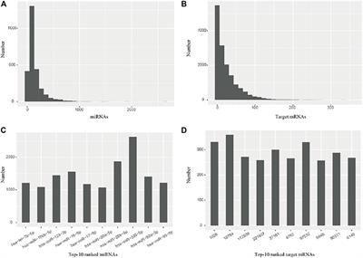 MIMRDA: A Method Incorporating the miRNA and mRNA Expression Profiles for Predicting miRNA-Disease Associations to Identify Key miRNAs (microRNAs)